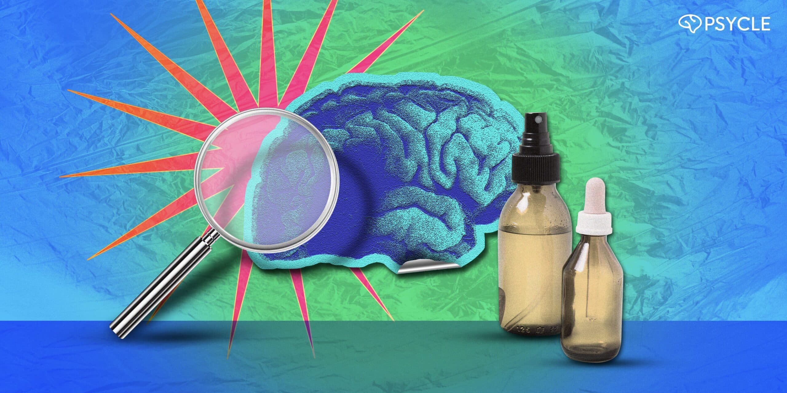 What Does Ibogaine Do to the Brain?