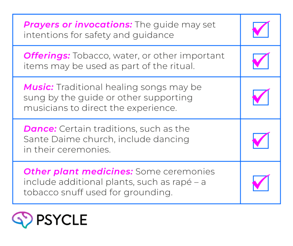 Common elements of an ayahuasca ceremony