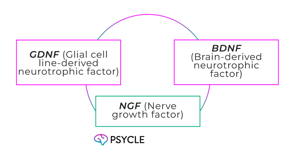 Neurotrophic factors