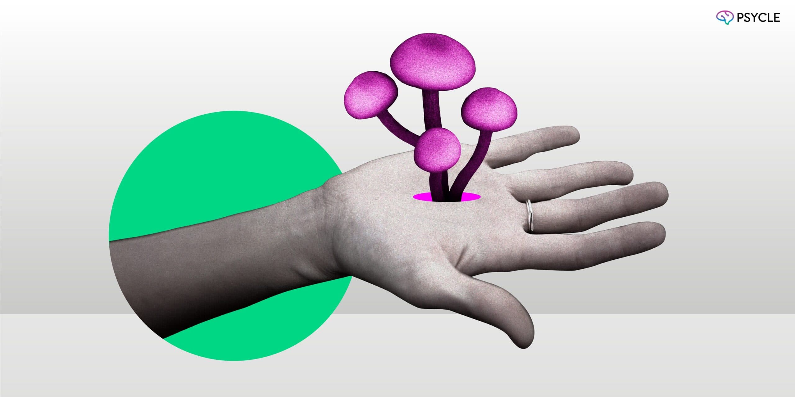 What is Psilocybin?