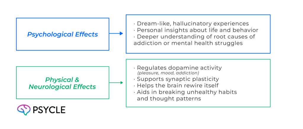 Ibogaine effects