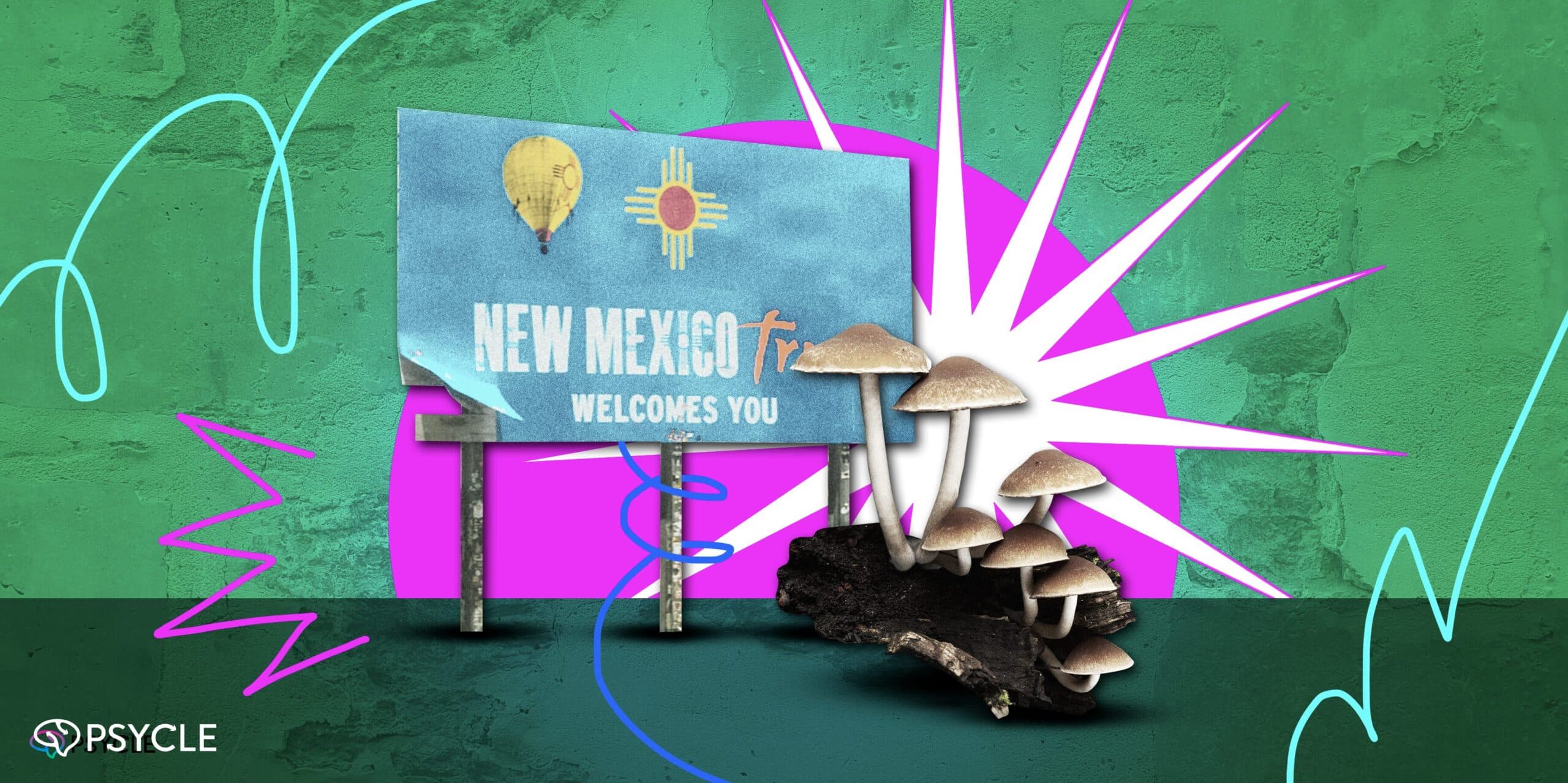 Psilocybin Therapy in New Mexico: What You Need to Know About their New Bill