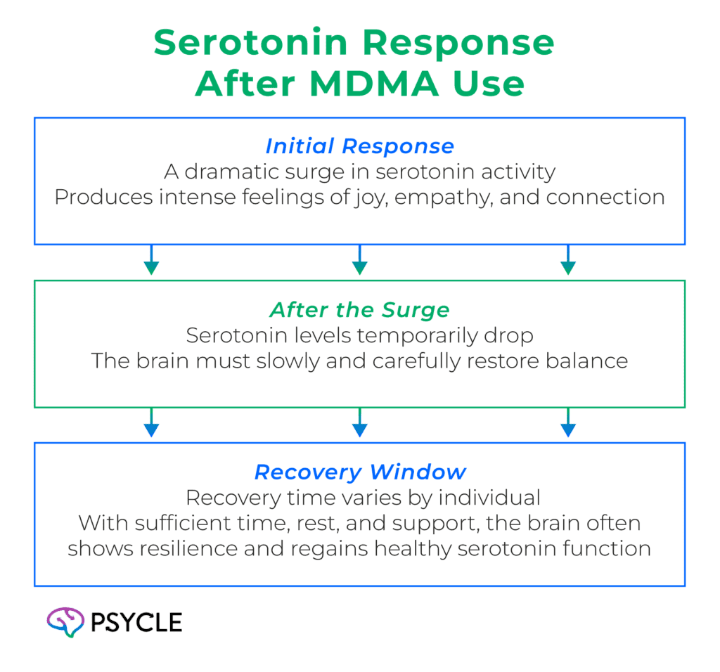 Serotonin response after MDMA use