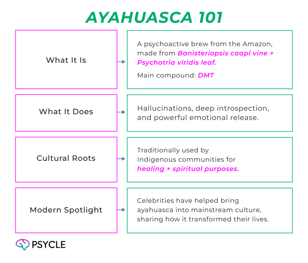 Ayahuasca 101