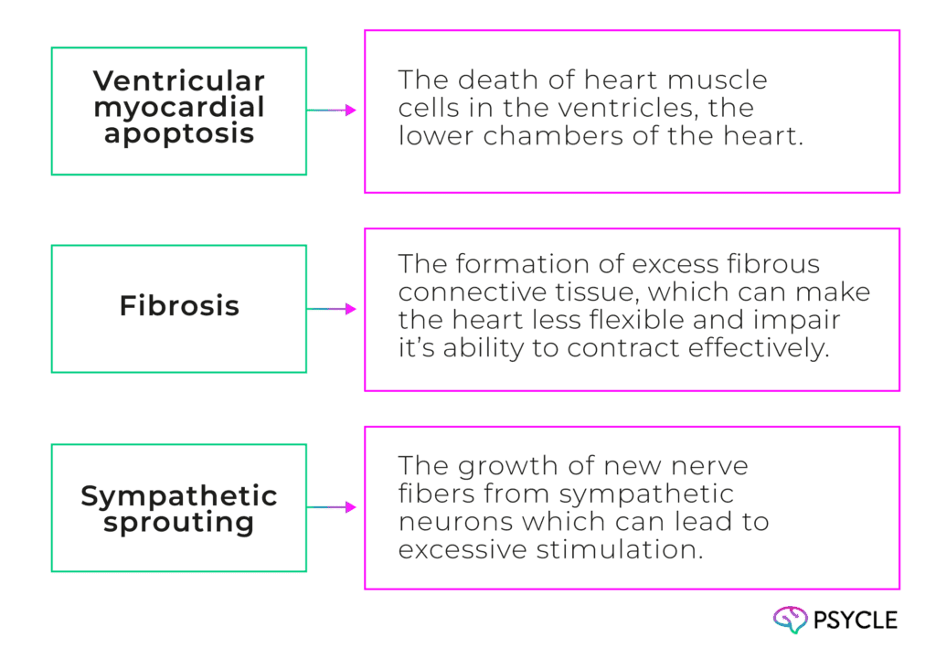 chronic ketamine use had several negative implications on the heart
