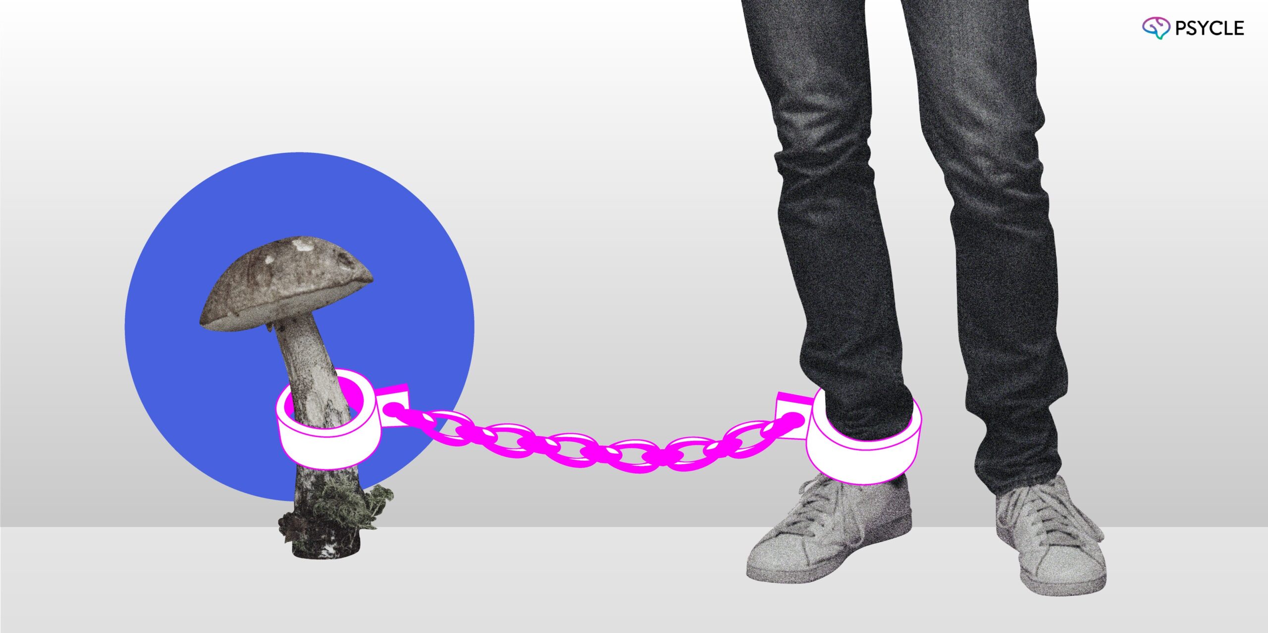 BP_Are psychodelic mushrooms adictive? BP_Are psychodelic mushrooms adictive?