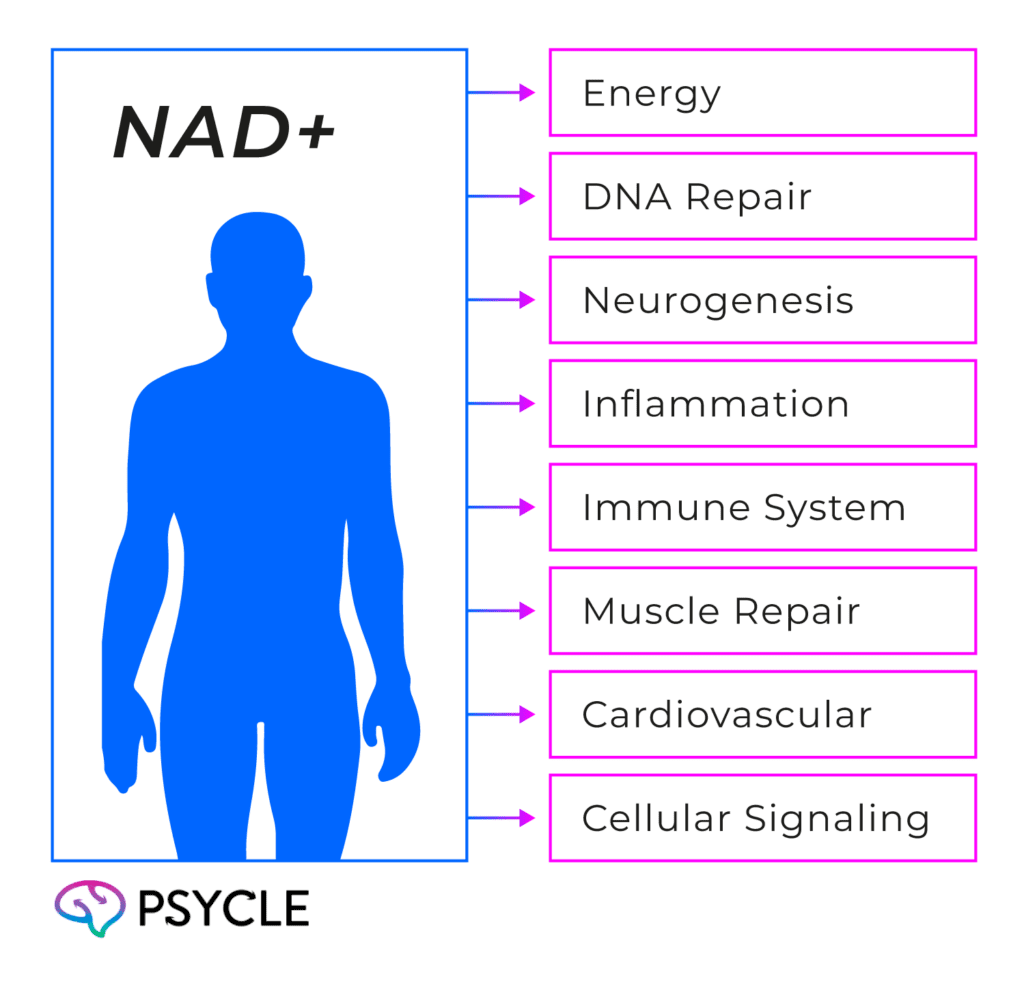 Benefits of NAD