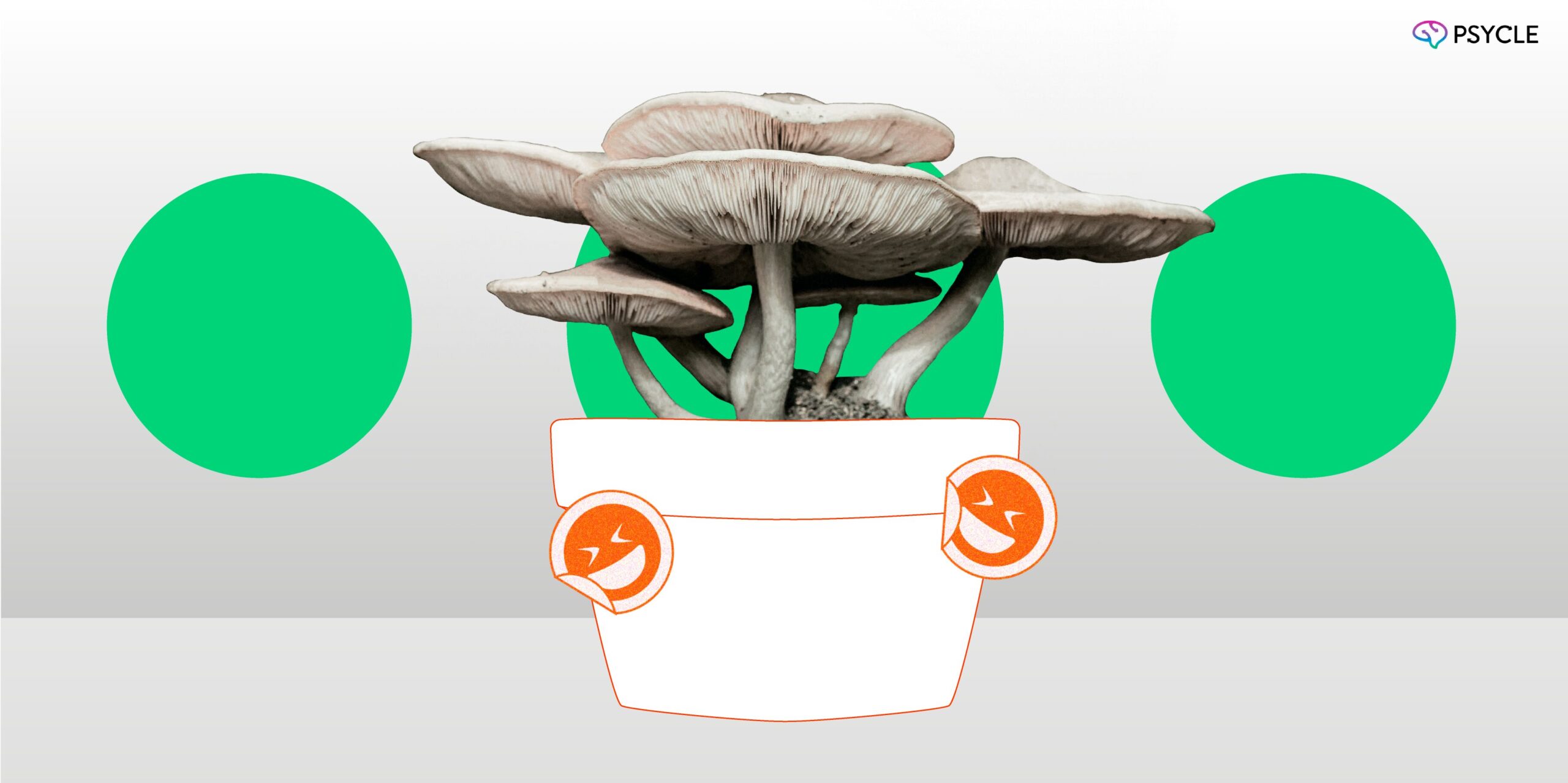 Mushrooms growing from a white pot.