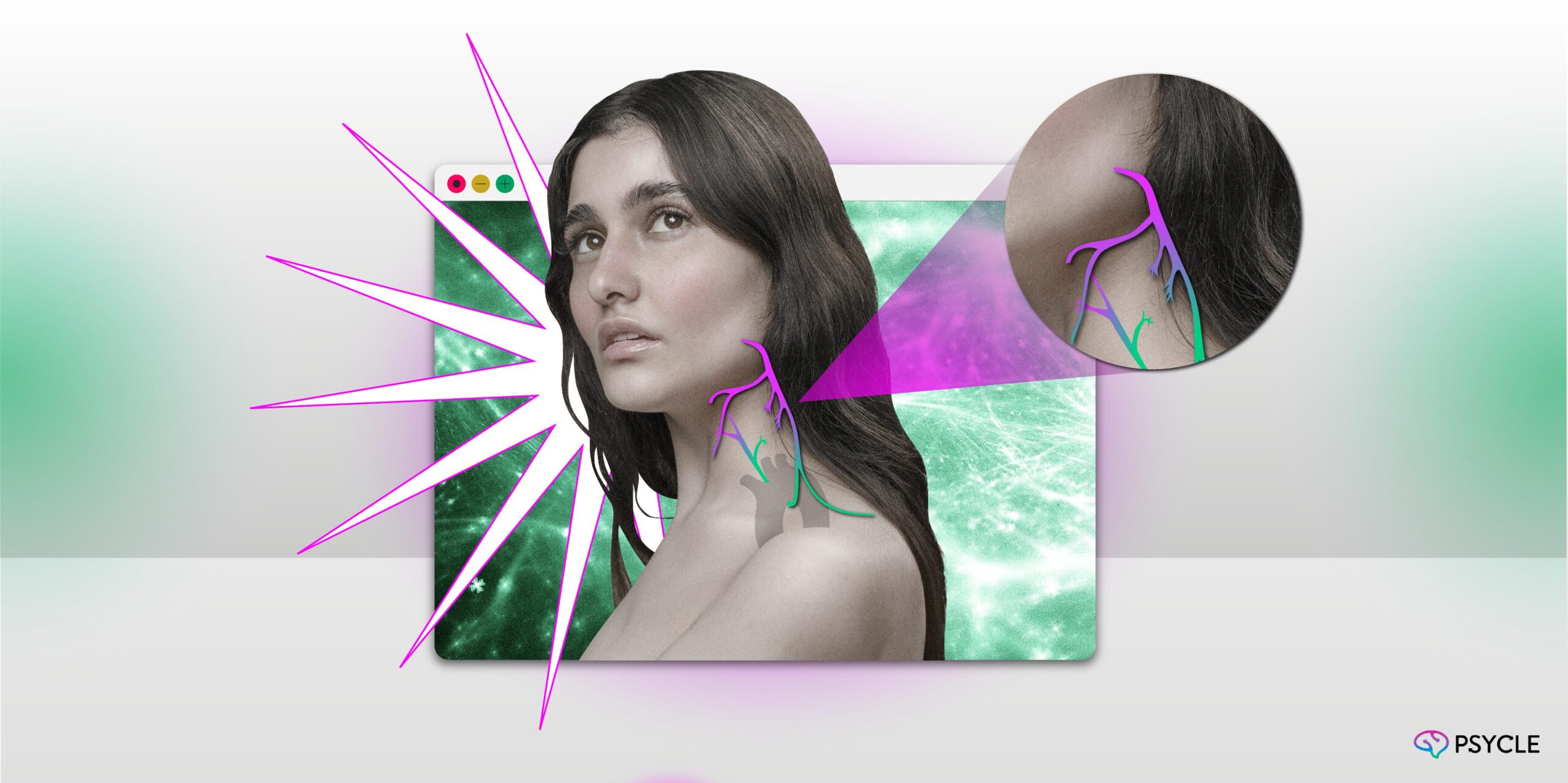 What is the Vagus Nerve