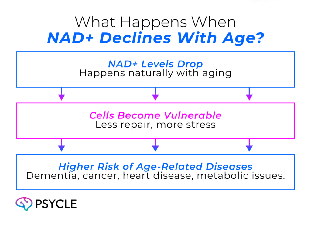 How NAD levels decline