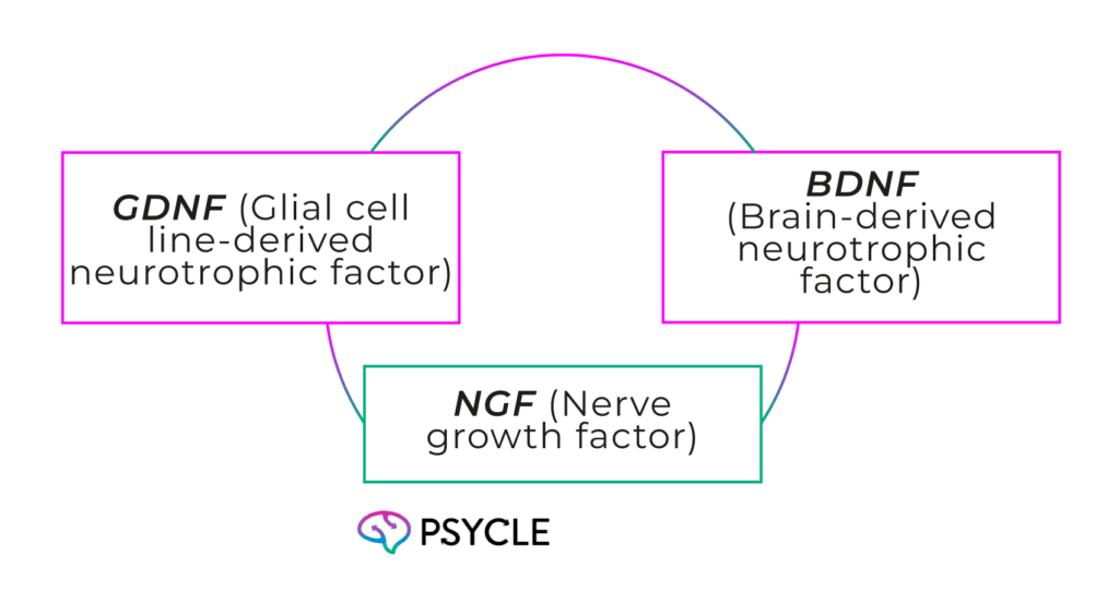 Neurotrophic factors