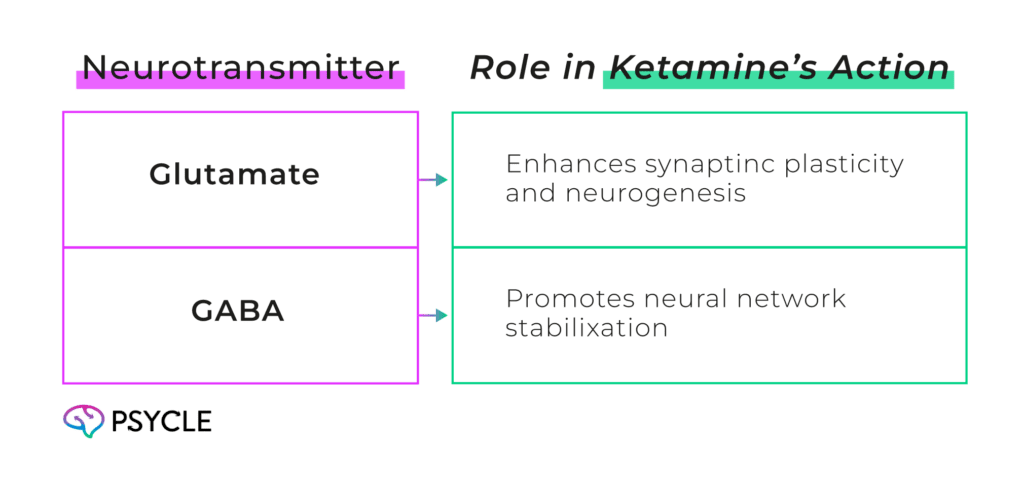 Graphic showing the relationship between ketamine and neurotransmitters.