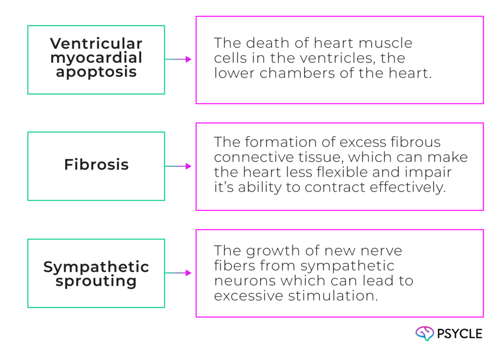 chronic ketamine use had several negative implications on the heart