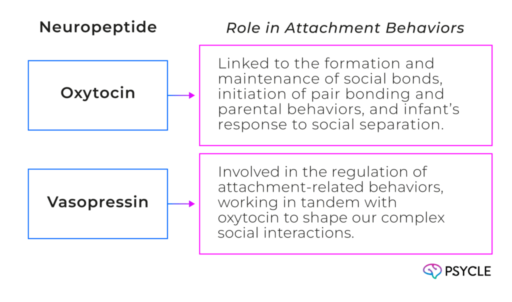 Neuropeptides and their roles