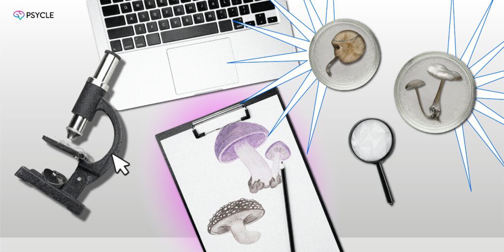 PEER REVIEWED ARTICLE ABOUT PSYCHEDELICS FOR MENTAL HEALTH ISSUES visual data 4