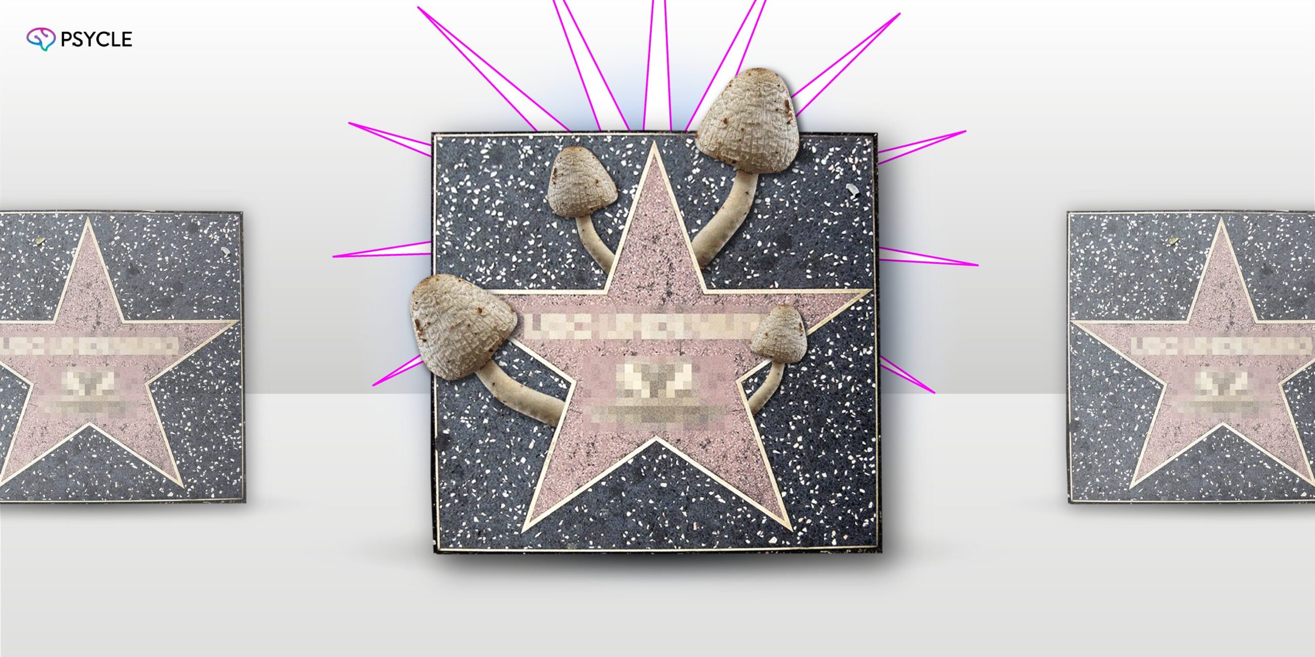 Google walk of fame star with mushrooms