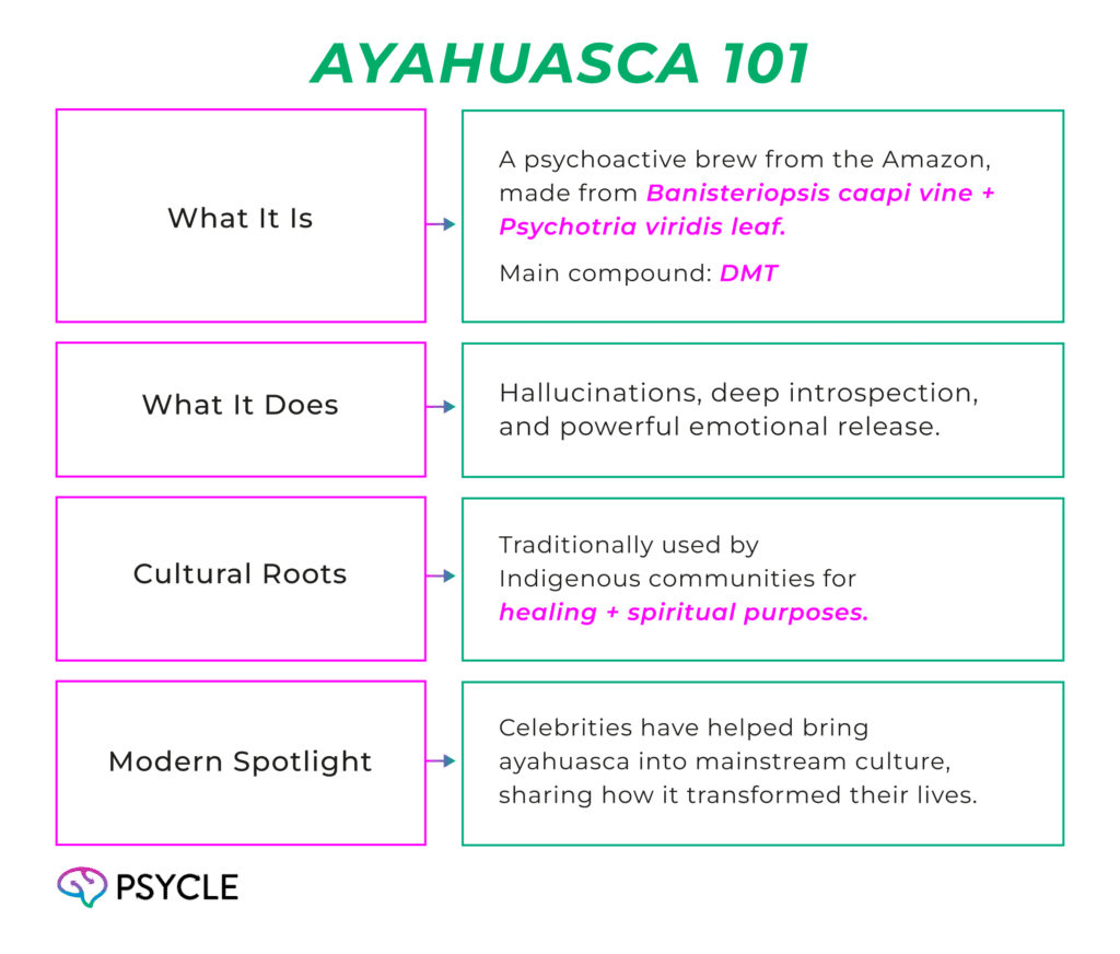 Ayahuasca 101