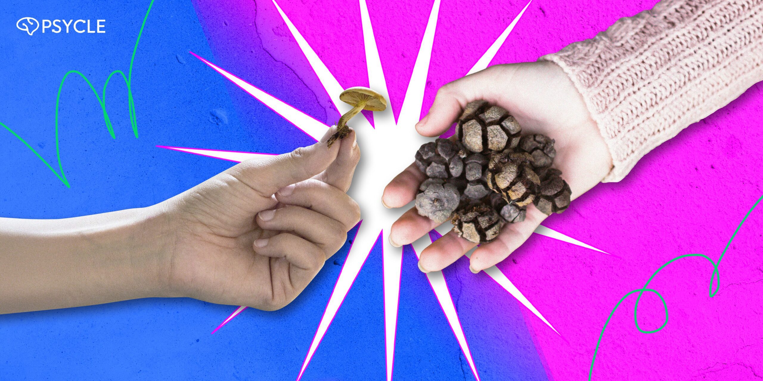 magic truffles vs mushrooms