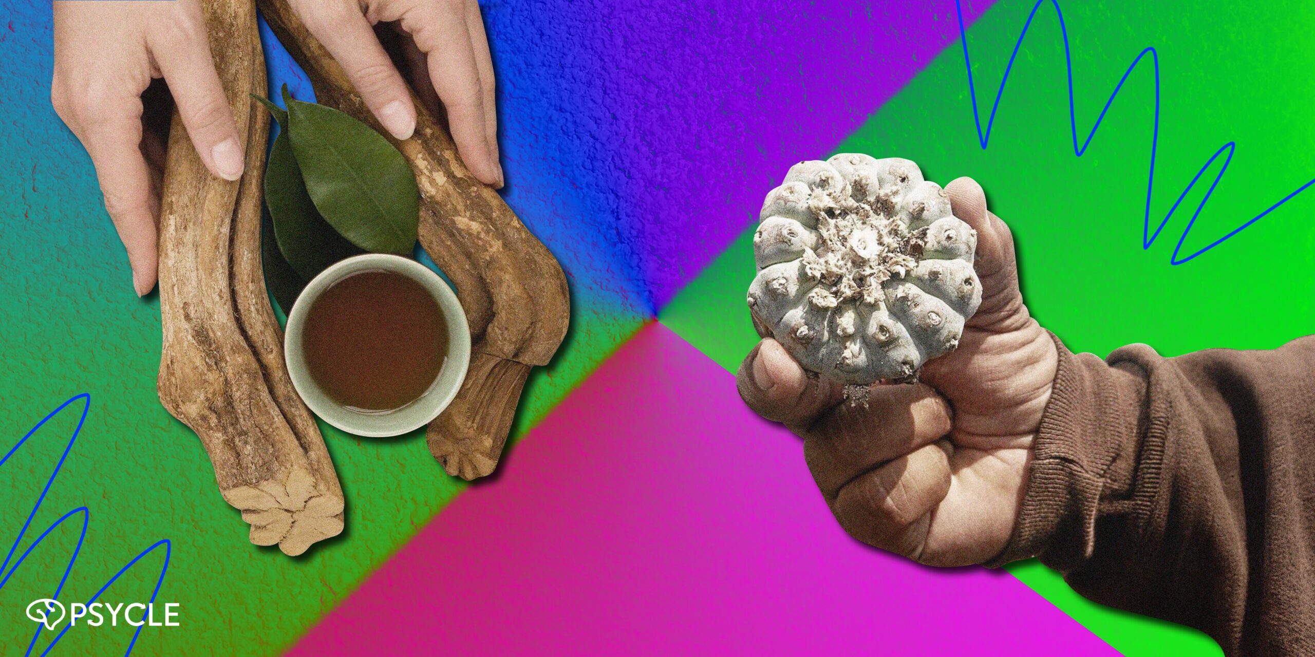 Ayahuasca vs Peyote