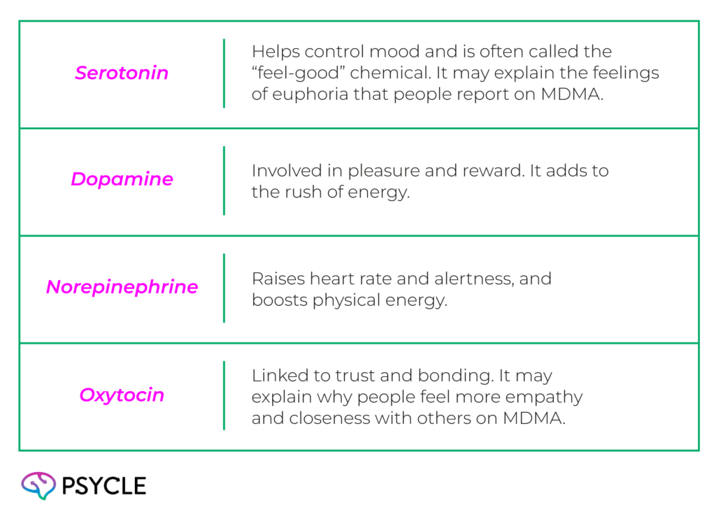 Chemical messengers in the brain