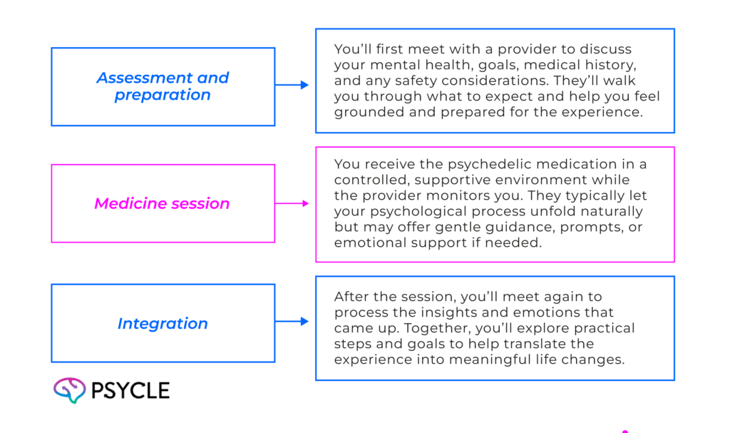 broad model of psychedelic therapy