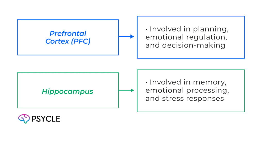 Brain activity on Spravato