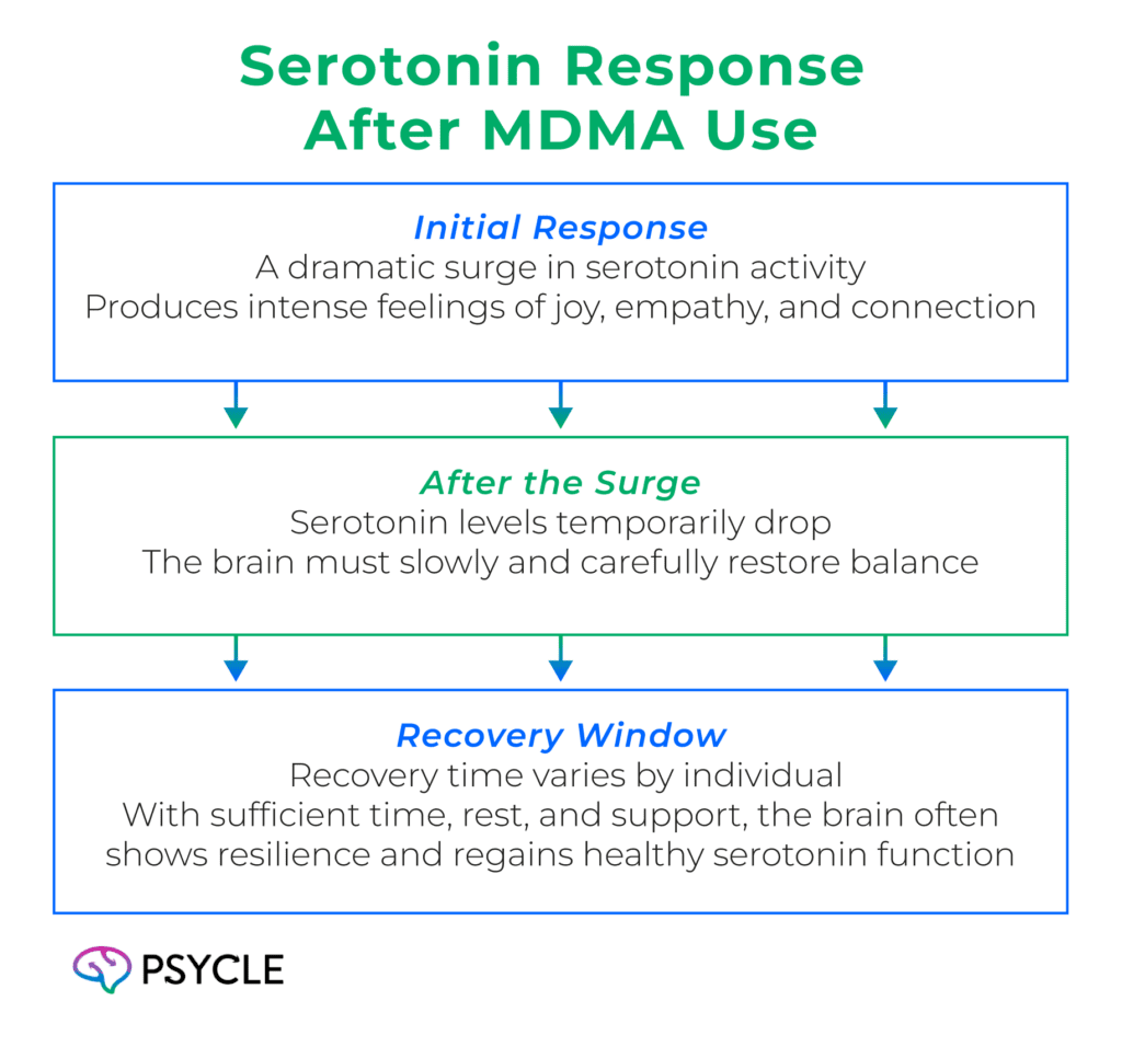 Serotonin response after MDMA use